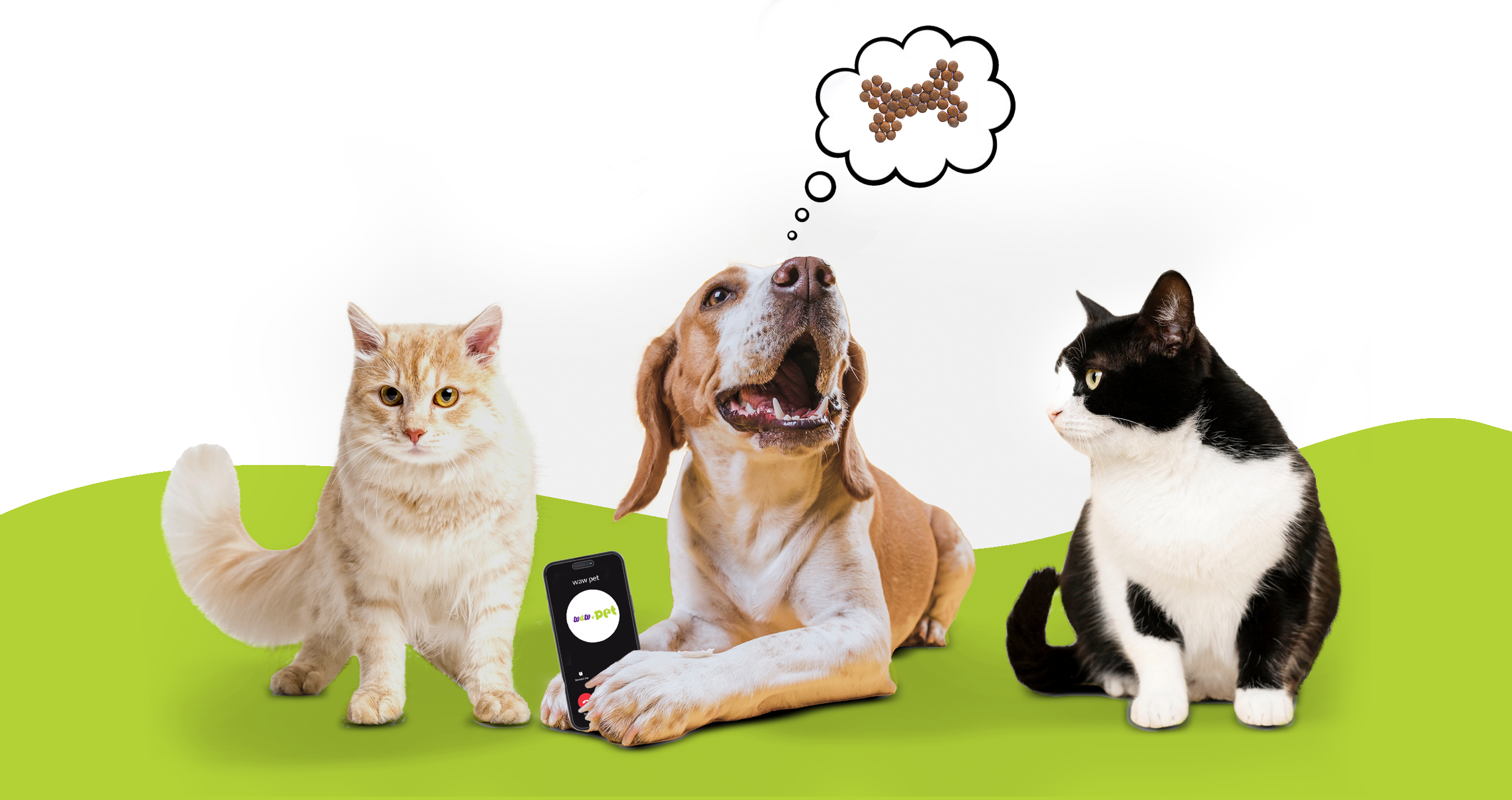 waw pet contact us