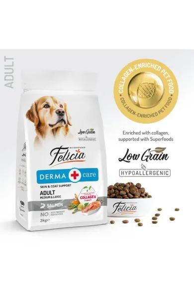 Felicia Derma Care Adult Salmon Medium and Large 3kg